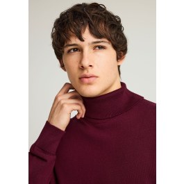 Men's knitted turtleneck sweater