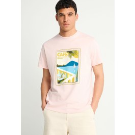 Men's cotton t-shirt with print